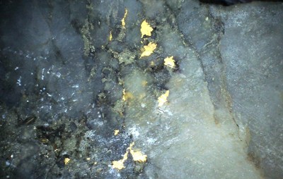 Figure 2 – Visible gold in rock chip samples taken from La Escarcha vein extensions. The larger flecks of gold are almost 2 mm in diameter. The gold is with pyrite — indicating that it is primary gold associated with a quartz-sulphide mineralizing event. (CNW Group/Mantaro Precious Metals Corp.)